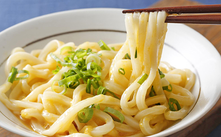 お中元【お中元のし付】がいな製麺所のうどんセットＢ ギフト 御中元【麺類・うどん・だし醤油・しょうゆ・魚貝類・加工食品】