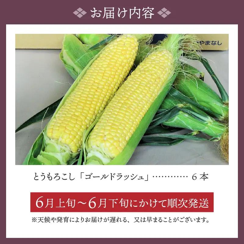 〈2026年度配送分〉とうもろこし「ゴールドラッシュ」 6本（2026年6月上旬～下旬にかけて順次配送予定）