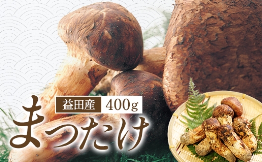 
                  F-766 益田産まつたけ 400g
                
