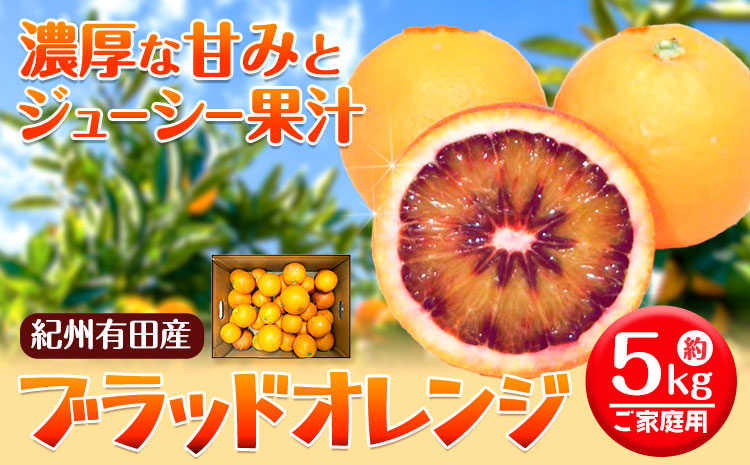 ＜先行予約＞紀州有田産ブラッド オレンジ 約 5kg【ご家庭用】 魚鶴商店《2027年3月上旬-3月下旬頃出荷》 和歌山県 日高町 紀州有田産 オレンジ みかん ご家庭用