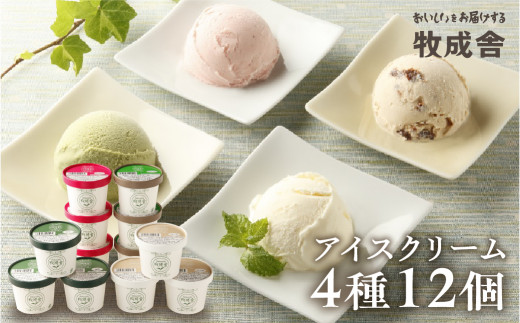 飛騨のミルクの旨みたっぷりアイスクリーム　12個セット  クリスマス おすすめ アイス 抹茶 バニラ いちご ラムレーズン スイーツ デザート