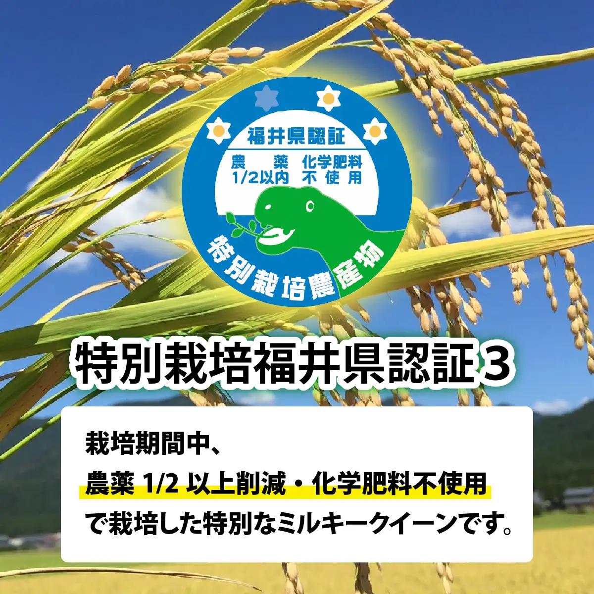 先行予約 ミルキークイーン 令和8年産 減農薬  5kg 玄米 ミルキークイーン