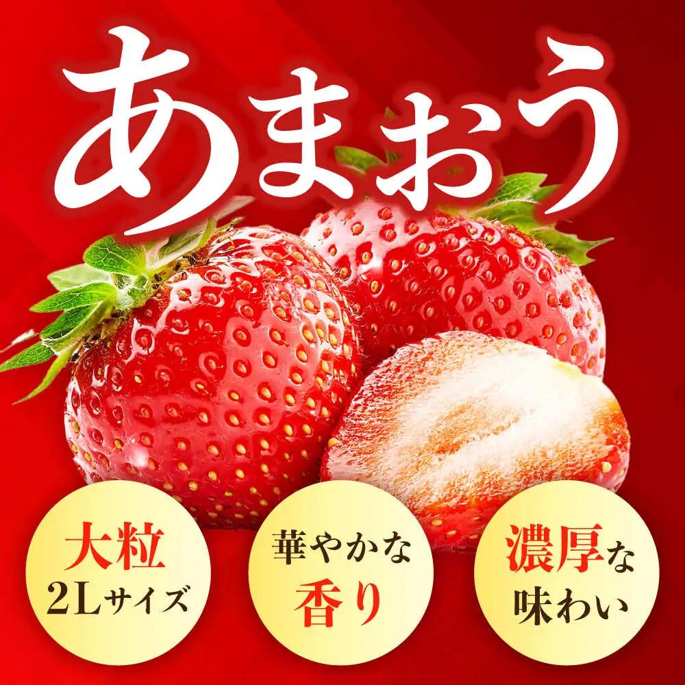 【先行予約】【全3回定期便】農家直送 朝採りいちご 約270g×2パック[ABDG008] いちご