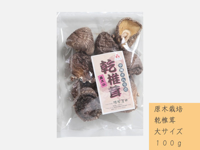 中尾さんちの乾椎茸 大 原木栽培  大きいサイズ 100g 干しシイタケ 1袋 / SAC中尾 椎茸屋 0788