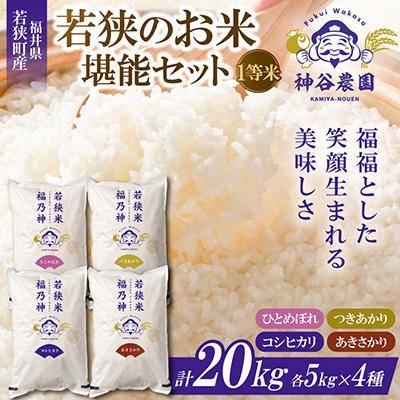 ふるさと納税 若狭町 【令和8年産先行受付】福井県若狭のお米堪能セット(1等米)　5kg×4種(合計20kg)