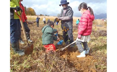 まる1日津南体験 広葉樹植栽と津南ジオパークトレッキング体験 (1名様) |津南町 トレッキング体験