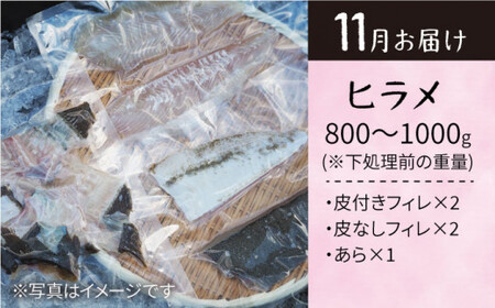 【旬のお魚定期便】 西海 大島 の海の幸を贅沢 定期便 に！＜大島水産種苗＞ [CBW013] 魚 海鮮 海の幸 魚 真鯛 たい タイ 鯛 ヒラメ ひらめ ヒラメ ヒラメ シマアジ しまあじ シマアジ