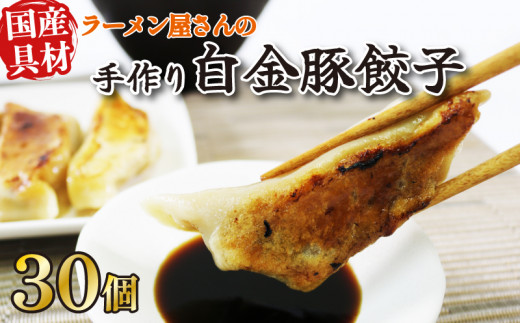 
手作り餃子 冷凍 30個 6個×5pc 白金豚 ブランド豚 簡単調理 ご飯のお供 惣菜 お弁当 冷凍食品 10000円 1万円 黒船 大船渡市
