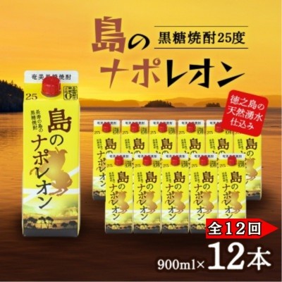 
                  ＜毎月定期便＞奄美黒糖焼酎 島のナポレオン 900ml 紙パック 12本セット全12回
                
