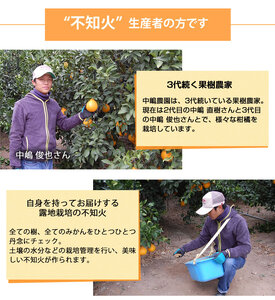 先行予約 訳あり デコみかん 4.5kg【2027年1月中旬-2027年4月下旬発送予定】  家庭用 規格外 フルーツ みかん 果物 果物 旬
