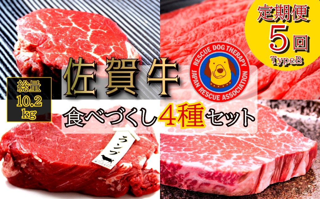 
            【定期便セット】全5回　佐賀牛4種食べづくし 総計10.2kg：TypeB(①すき焼き肉3,000g、②ロース1,700g、③ランプ1,300g、④ヒレ1,200g、⑤すき焼き肉3,000g）

          