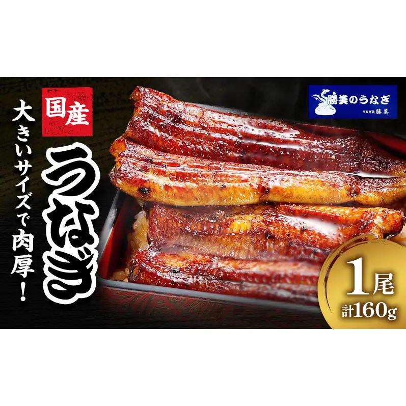 国産 うなぎ 蒲焼 1尾 (約160g×1尾 タレ75ml×1本 山椒×1袋) 鰻 国産 浜松うなぎ 浜名湖うなぎ 蒲焼き プレゼント 贈答 浜名湖 産地直送 冷凍 冷凍配送 静岡 浜松市