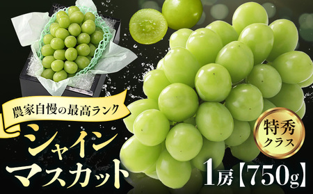 【2026年発送】シャインマスカット 農家自慢の最高ランク シャインマスカット  約750g 特秀クラス Nini farm 