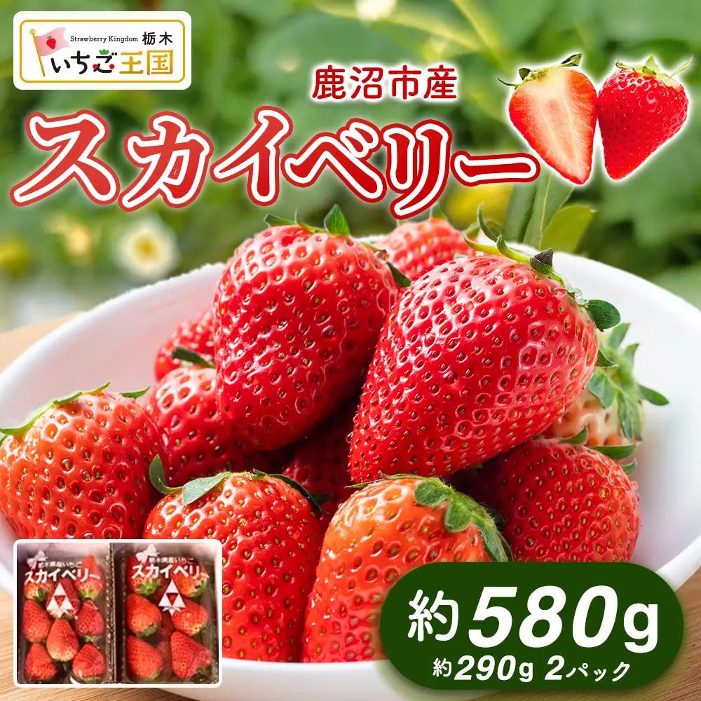 【先行予約】いちご スカイベリー 出会いの森いちご園 （290g×2パック） ※2026年12月～発送