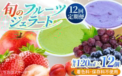 【12回定期便】果樹園が作る 素材の味を楽しめる 旬のジェラート 120ml×12個セット【ソルベッチdoうきは】着色料不使用 ノンホモ牛乳使用 ジェラート アイス 旬 スイーツ 詰め合わせ セット シャーベット ミルク フルーツ デザート 定期便