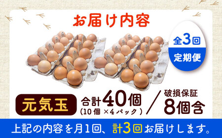 【全3回定期便】平飼い新鮮たまご 元気玉 計40個(10個×4パック) / 卵 ぷりぷり 新鮮 玉子 オムレツ たまごかけごはん 朝食 鶏卵 平飼い 濃厚 こく 熊本県 菊陽町【ぴよっこファーム】[B