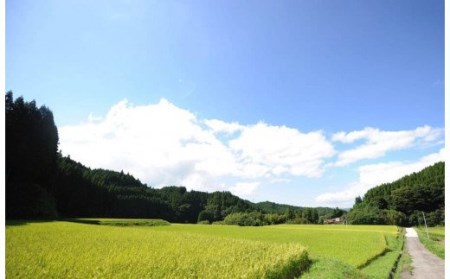 【阿蘇小国産】小国郷のお米　あきげしき5kg（精米）