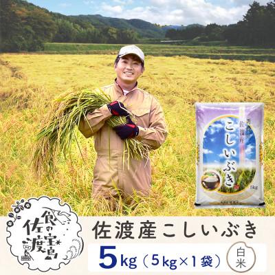 ふるさと納税 佐渡市 佐渡島産こしいぶき 白米5Kg 土屋農園 農家直送 令和7年産 農薬5割減 【食の宝島佐渡】