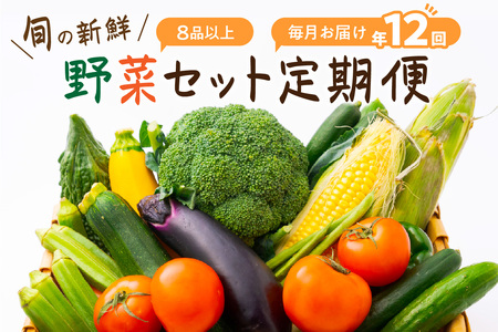 【8057-1】【定期便】旬の新鮮野菜セットたっぷり8種以上　12か月