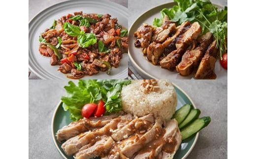 
但馬鶏を使った本格タイ料理4品セット
