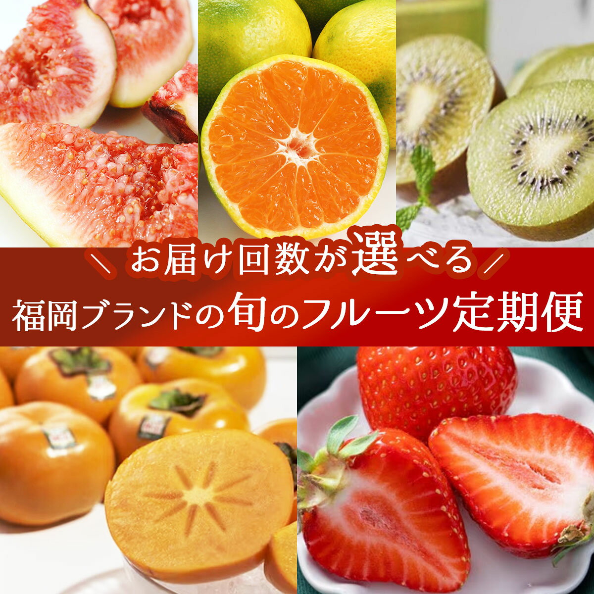 【ふるさと納税】＜選べる配送回数＞福岡ブランドの旬のフルーツ定期便 (篠栗町)｜イチジク ミカン キウイ 柿 イチゴ【NF019-oya】
