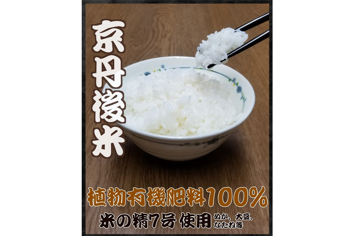 
京丹後米～水と文化が育んだ～野間のこしひかり 3kg　お米 コシヒカリ 京丹後米 3キロ ふるさと 納税 コシヒカリ 精米 ふるさと 納税 こしひかり ふるさと 納税 米 精米 京都産 京丹後 生産者応援 農家応援 送料無料　FP00001
