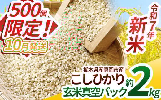 【先行予約】【ふるさと納税】毎月500個限定！令和7年度新米 真岡市産こしひかり（玄米真空パック) 約2kg 選べる発送月 | 新米 真岡市産 こしひかり 真空 パック 米  お米 玄米 もちもち  限定 ふるさと納税 先行 予約 栃木県 真岡市 送料無料