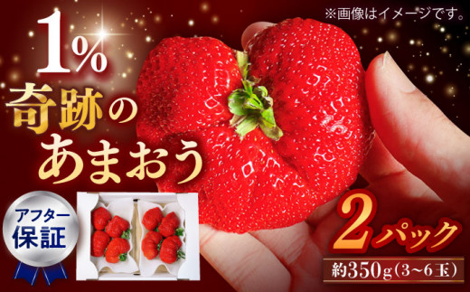 【収穫率1%！】【先行予約】【アフター保証】超大玉 あまおう  約350g×2パック【1月上旬より順次配送】 ▼博多あまおう   福岡  博多 イチゴ 苺 甘い あまい ギフト 果物 福岡県 福岡県産 桂川町/高嶋園芸[ADAT001]