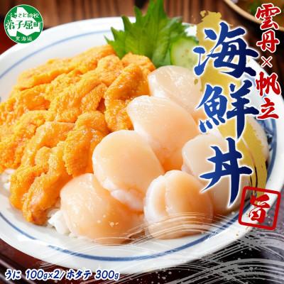 ふるさと納税 弟子屈町 【のし付】ウニ 200g &amp; ホタテ 300g 海鮮丼セット 北海道 弟子屈町 3406