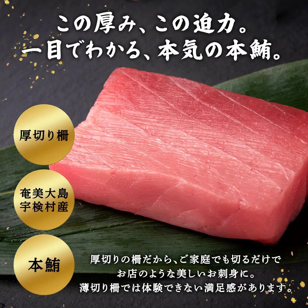 奄美大島 伝統鮪 厚切り 中トロ・赤身（各1柵 各250g）セット 柵 冷凍 鮪 まぐろ 海鮮 刺し身 お刺身 さしみ 生食用 赤身 中トロ 鹿児島県 奄美大島 宇検村