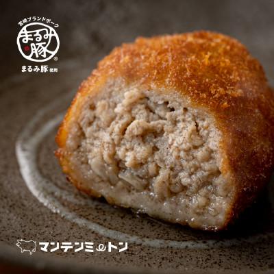 ふるさと納税 宮崎市 マンテンミートンのメンチカツ　計16個