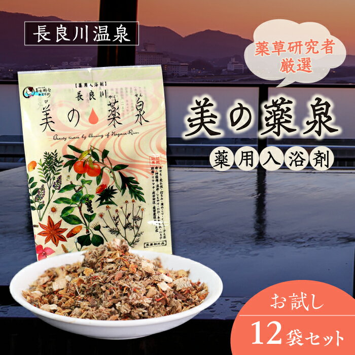 【ふるさと納税】入浴剤 薬用 12袋 医薬部外品 美の薬泉 入浴剤 薬用入浴剤 天然 美容 お風呂 バスタイム 長良川温泉 温泉 疲労回復 岐阜市 / 岐阜長良川温泉旅館協同組合[ANAF008]