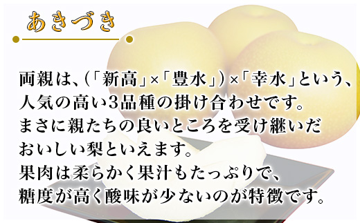 【先行予約】【7月分 数量限定】茨城県産「あきづき」約5kg【2025年8月下旬~9月中旬にかけて発送予定】【 梨 果物 くだもの フルーツ 国産 季節限定 人気 贈り物 お取り寄せ デザート 】