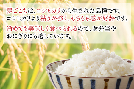 夢ごこち 「白米」 10kg | 米 お米 おにぎり ゆめごこち 岩手県産 (CA014)