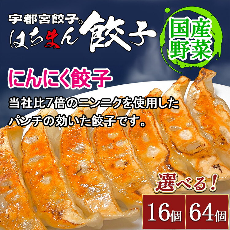 【ふるさと納税】【選べる内容量】宇都宮餃子 はちまん餃子 にんにく餃子 ｜ 宇都宮餃子 国産野菜 グルメ 宇都宮市 にんにく ぎょうざ ギョーザ 野菜 冷凍食品 冷凍餃子 焼き餃子 水餃子