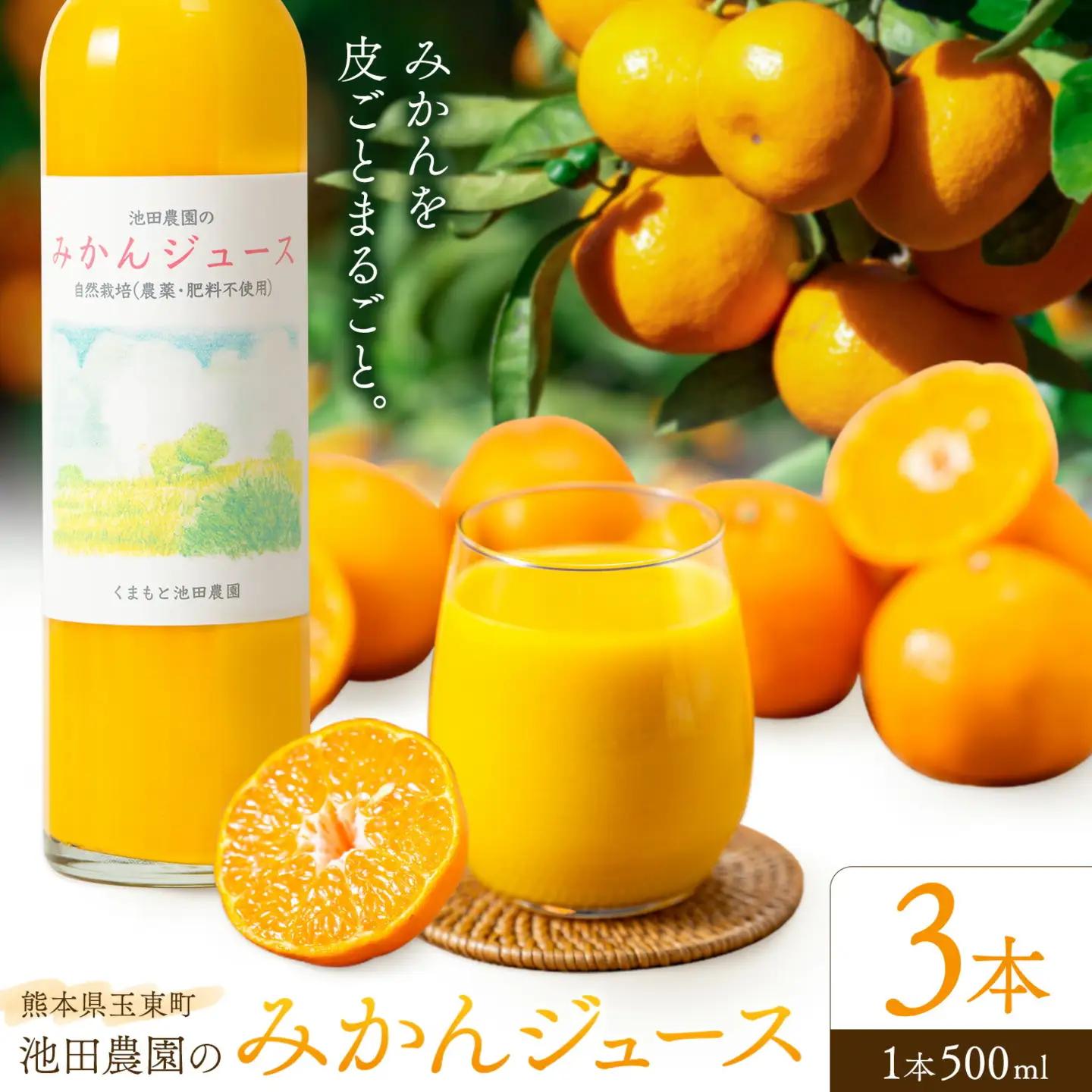 池田農園のみかんジュース 3本 1本500ml 池田農園《30日以内に出荷予定(土日祝除く)》熊本県 玉名郡 玉東町 みかんジュース みかん ミカン ジュース 自然栽培 栽培期間中農薬・肥料不使用