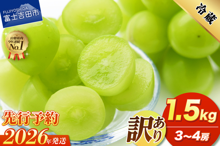 2026年発送 先行予約 訳あり シャインマスカット 1.5kg （ 3～4房 ） フルーツ シャイン