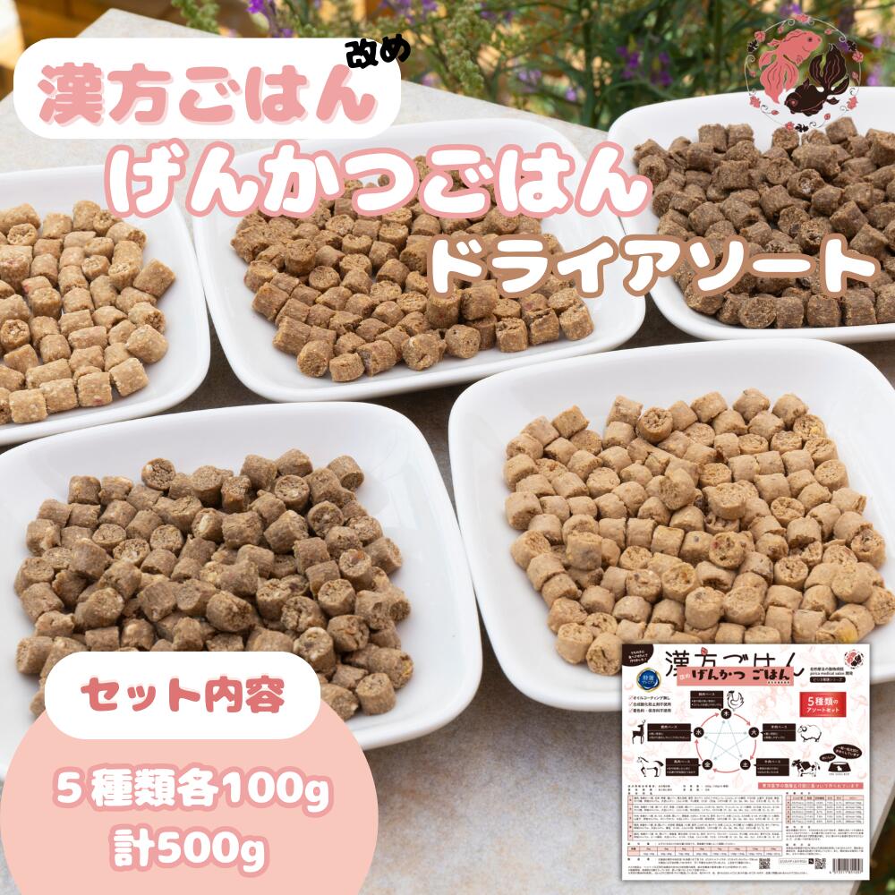 【ふるさと納税】 ペットフード 犬 げんかつごはん 漢方ごはん 木 火 土 金 水 ドライアソート 100g×5種 セット 愛犬用 ノンオイルコーティング 食養生 薬膳 総合栄養食 安心素材 北海道食材 漢方食材 着色料 保存料 酸化防止剤不使用 北海道 札幌市