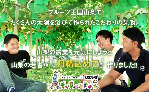 【旬の桃とシャインマスカットの2回定期便】 桃約2kg（5～6玉）、シャインマスカット約1.8kg（2～4房）