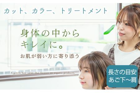 No.288 （M）カット、カラー、トリートメント