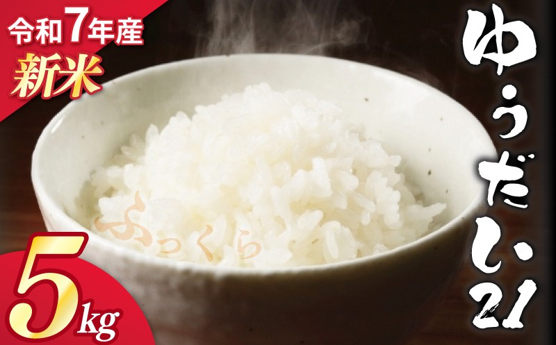
            【 新米 】 令和7年産 白米 精米 5kg ゆうだい21 もちもち 一粒一粒 大きい うま味 甘 粘 お弁当 おにぎり 産地直送 農家直送 お米 こめ ブランド 高級 米 ご飯 ごはん 白米 贈り物 贈答 都祁地産地消推進会 宇都宮 大学 奈良県 奈良市
          