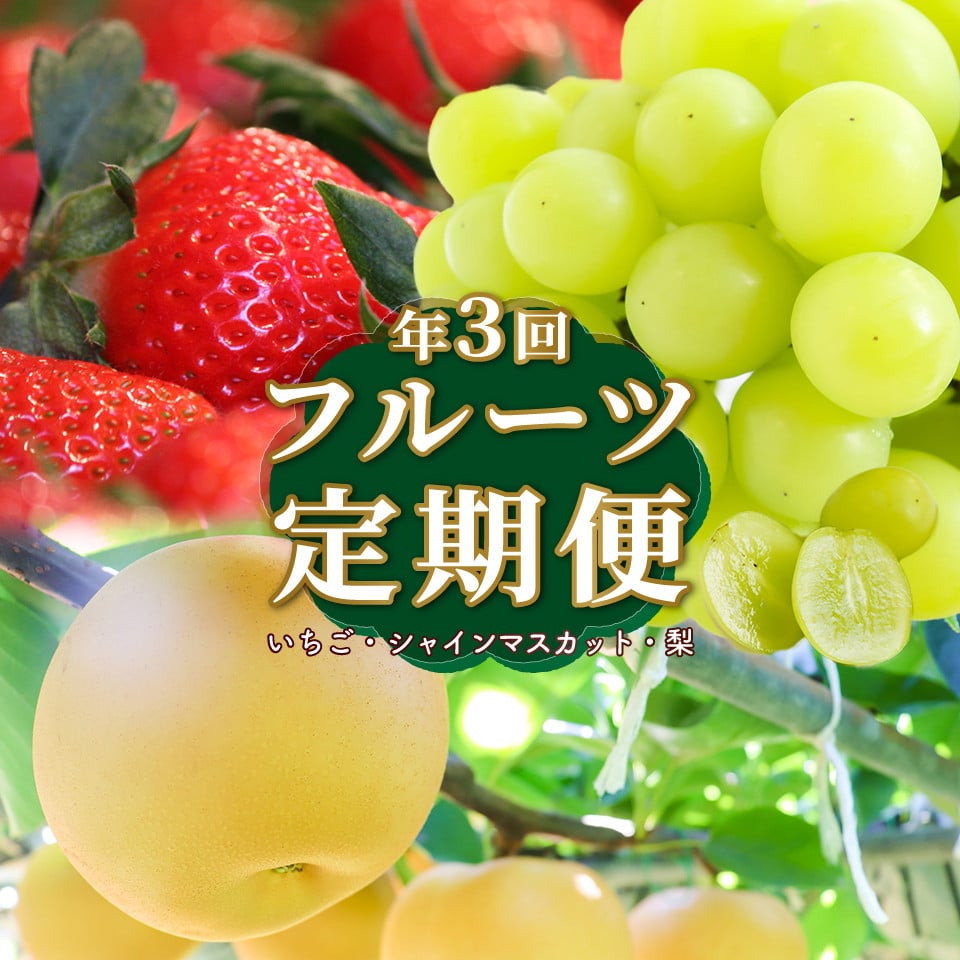 
                  ＜フルーツ 定期便（全３回）＞ ［いちご シャインマスカット 梨］ ぶどう fruit 苺 おすすめ 旬 果物 くだもの 高知県 佐川町産
                