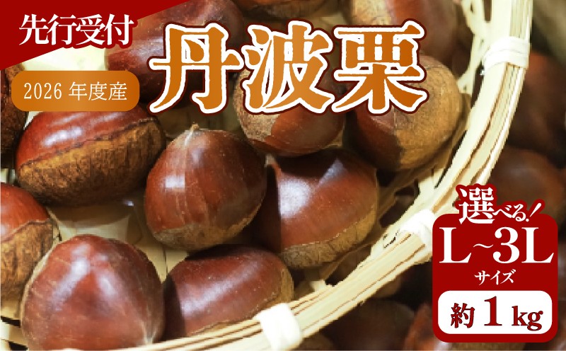 
            【先行予約】 2026年度産 京都府産 丹波栗 1kg 選べる サイズ L～3Lサイズ 栗 大粒 秋 旬 味覚 くり 国産 丹波ぐり 丹波くり 生栗 生ぐり 和栗 生くり 京都 京都府 JA JA京都
          