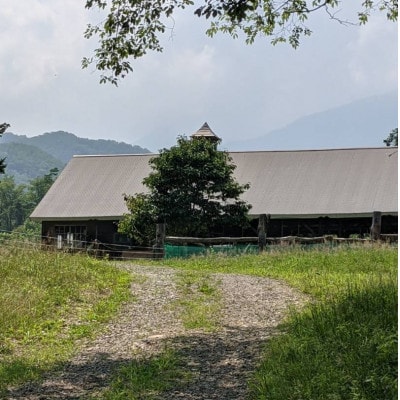 香林農園ナチュラルチーズ 山羊と牛のチーズセット 北海道 日高山脈の小さなチーズ農家【配送不可地域:離島】