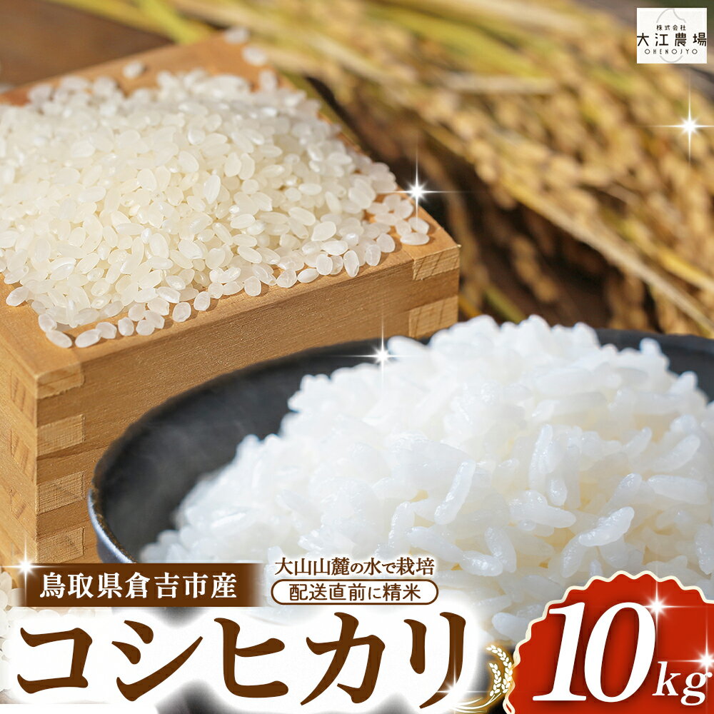 【ふるさと納税】【新米】【令和7産米】倉吉市産 コシヒカリ 10kg（5kg×2袋）発送月が選べる！ 大江農場 数量限定 新米 令和7年産米 精米 お米 米 こめ コメ 白米 こしひかり コシヒカリ ブランド米 配送月指定