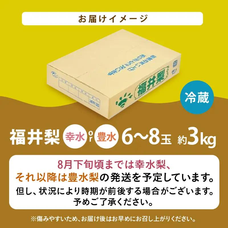 【先行予約】福井梨 3kg 6～8玉入 《幸水梨 豊水梨どちらかのお届け！》 ／ 期間限定 果物 フルーツ 産地直送 旬 お取り寄せ ※2026年8月下旬以降発送 [aw003-a009]