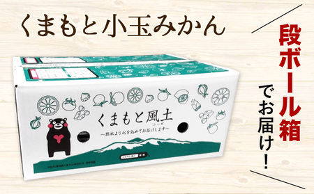 訳あり みかん 小玉みかん くまもと小玉みかん2.5kg (2.5kg×1箱)  秋 旬 不揃い 傷 ご家庭用 SDGs 小玉 たっぷり 熊本県 産 S-3Sサイズ フルーツ 旬 柑橘 長洲町 温州み