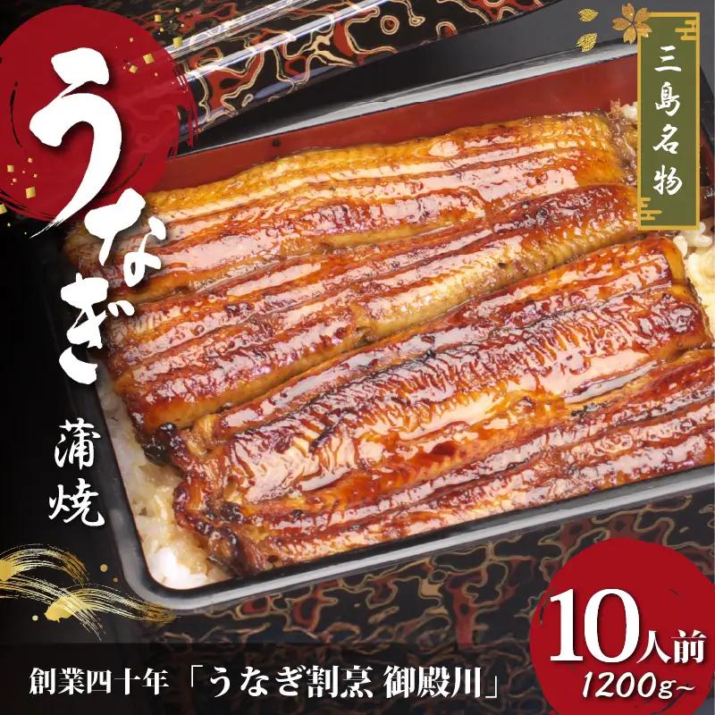 静岡 名産 うなぎ 蒲焼 10人前 1200g～ 冷蔵 三島名物 老舗 うなぎ屋 真空パック 御殿川 土用丑の日 晩ごはん 家族 惣菜 鰻 蒲焼き ウナギ うなぎ蒲焼 鰻蒲焼 蒲焼き たれ グルメ ご