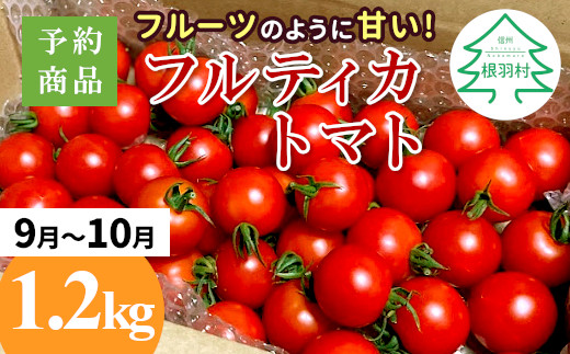 予約品※2025年9月～10月発送フルーツのように甘い フルティカトマト 1.2kg 令和7年度産 ※予約商品※割れ保障付 5000円