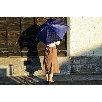 ふるさと納税 古河市 雪華模様の折り畳み傘(サイズ55cm)カラー:ネイビー | 傘 かさ 折りたたみ傘 _BL02 |  | 01